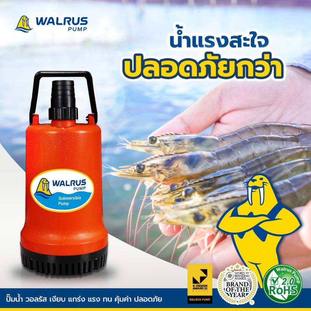 ปั๊มไดโว่ รุ่น PW400AD