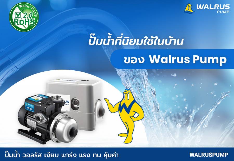 ปั๊มน้ำที่นิยมใช้ในบ้านของ Walrus Pump