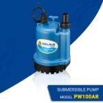 Seawater Submersible Pump PW100AR