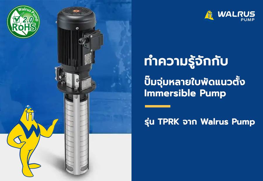 ปั๊มจุ่มหลายใบพัดแนวตั้ง Immersible Pump รุ่น TPRK จาก Walrus Pump