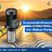 ปั๊มจุ่มหลายใบพัดแนวตั้ง Immersible Pump จาก Walrus Pump