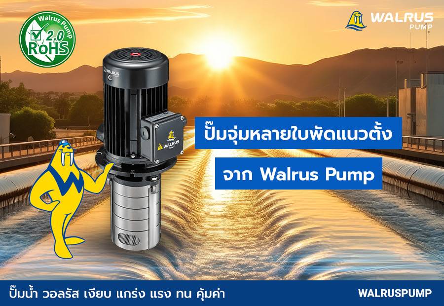 ปั๊มจุ่มหลายใบพัดแนวตั้ง Immersible Pump จาก Walrus Pump