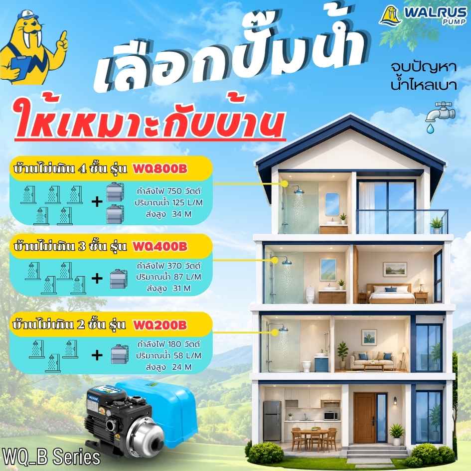 อินโฟกราฟิกเลือกปั๊มน้ำ WALRUS WQ Series รุ่น WQ200B WQ400B และ WQ800B ให้เหมาะกับบ้าน 2-4 ชั้น